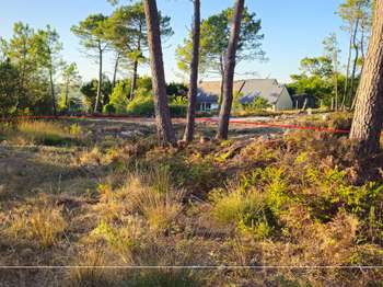 Vente de terrain