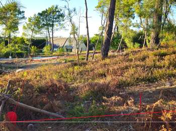 Vente de terrain
