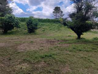 Vente de terrain