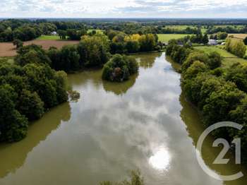 Vente de terrain