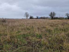 Vente Terrain 566 m&sup2;Damigny