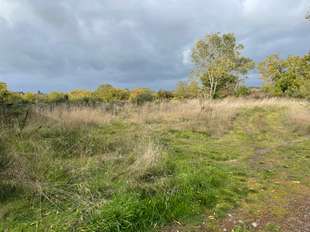 Photo Vente de terrain Denée