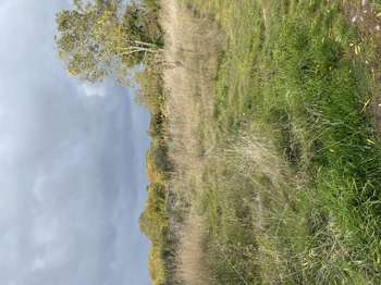 Vente Terrain 685 m&sup2;Denée