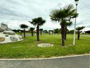 Vente Terrain 962 m&sup2;Denguin