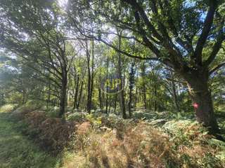 Vente de terrain 3 pièces