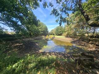 Vente de terrain 3 pièces