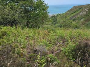 Vente Terrain 4924 m&sup2;Digosville