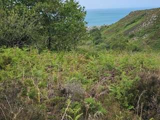 Vente de terrain