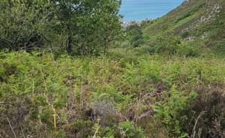 Photo Vente de terrain Digosville