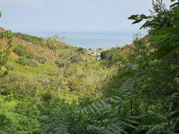Photo Vente de terrain Digosville