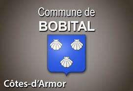 Vente de terrain Dinan 22