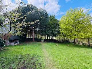 Vente de terrain 1 pièce