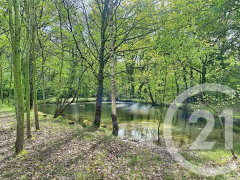 Vente de terrain Dingé 35