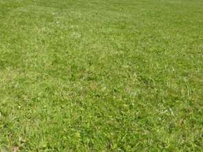 Vente Terrain 604 m&sup2;Dirinon