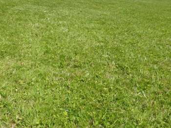 Vente Terrain 604 m&sup2;Dirinon