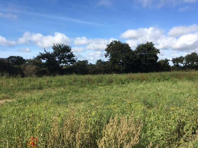 Terrain 614 m² · à Dirinon · 614 m² · 83 000 €