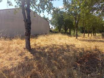 Vente de terrain