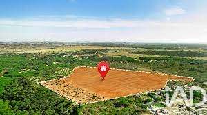 Vente de terrain Dolus-d'Oléron 17