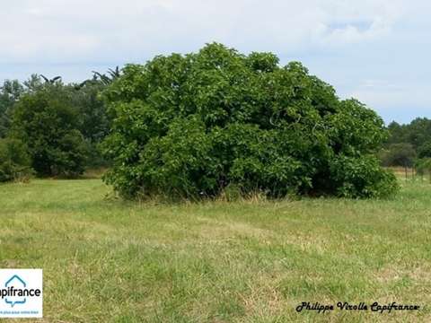 Vente de terrain Dolus-d'Oléron 17
