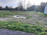 Vente de terrain