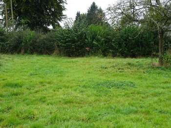 Vente de terrain Doudeville 76