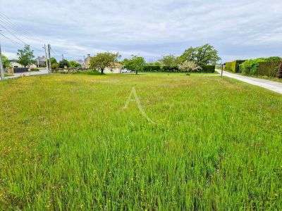 Vente de terrain Doué-en-Anjou 49