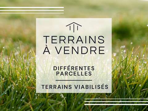 Vente de terrain