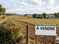 Vente de terrain