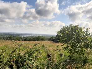 Vente Terrain 497 m&sup2;Drain