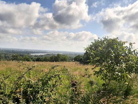 Vente de terrain Drain 49