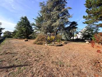 Vente Terrain 1235 m&sup2;Drefféac