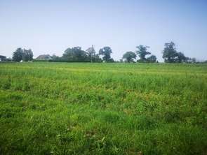 Vente Terrain 2000 m&sup2;Ducey