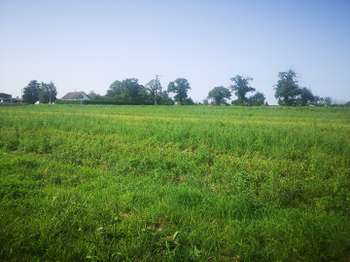 Vente de terrain Ducey 50