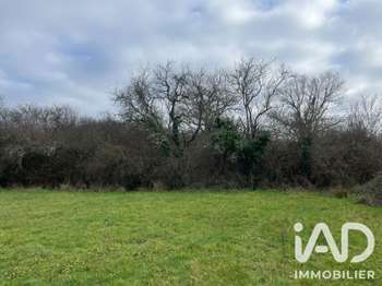 Vente Terrain 7042 m&sup2;Dunet