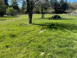 Vente Terrain 1205 m&sup2;Écommoy