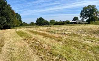 Photo Vente de terrain Écuillé