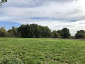 Vente Terrain 660 m&sup2;Écuillé