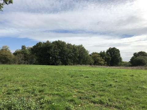 Vente de terrain Écuillé 49