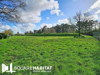 Vente de terrain
