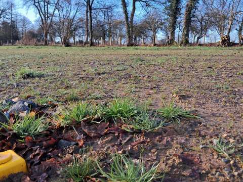 Vente de terrain Ercé-en-Lamée 35