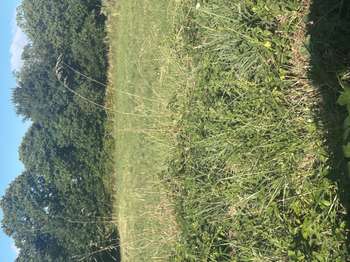 Vente Terrain 1200 m&sup2;Ergué-Gabéric