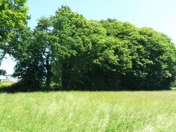 Vente Terrain 1074 m&sup2;Erquy