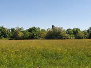 Vente Terrain 3200 m&sup2;Espoey