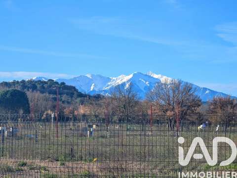 Vente de terrain Estagel 66