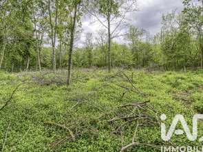 Vente Terrain 2024 m&sup2;Estouy