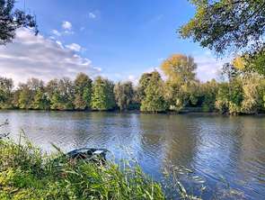 Vente Terrain 17170 m&sup2;Étriché