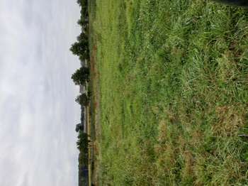 Vente Terrain 712 m&sup2;Évran