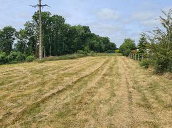 Vente Terrain 800 m&sup2;Falaise