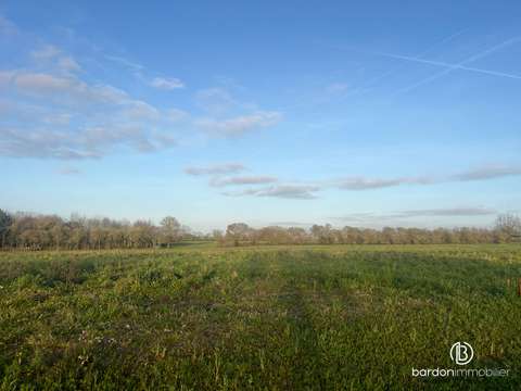 Vente de terrain Falleron 85