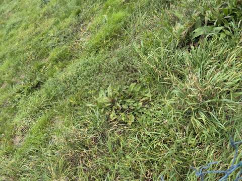 Vente de terrain Faverges-de-la-Tour 38